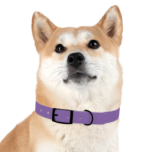 Purple Belt Doggo Collar