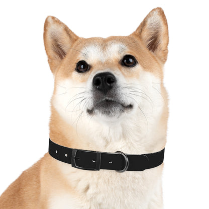 Black Belt Doggo Collar