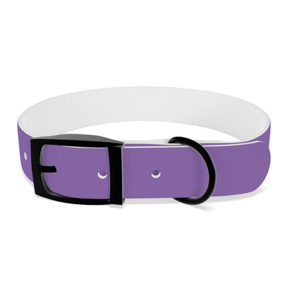 Purple Belt Doggo Collar