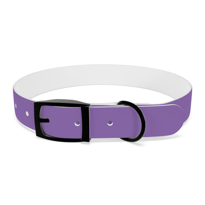 Purple Belt Doggo Collar