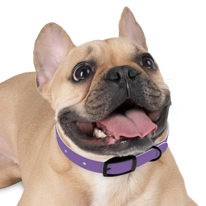 Purple Belt Doggo Collar