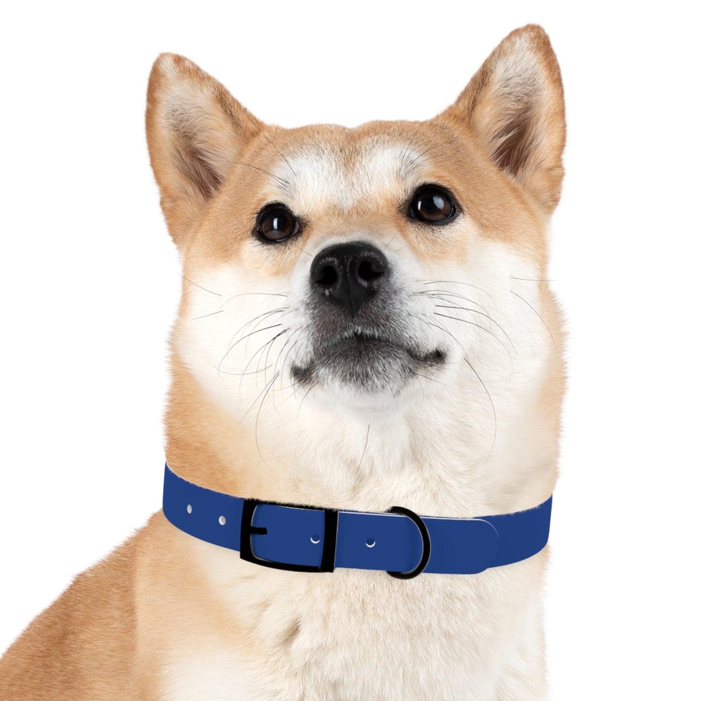 Blue Belt Doggo Collar