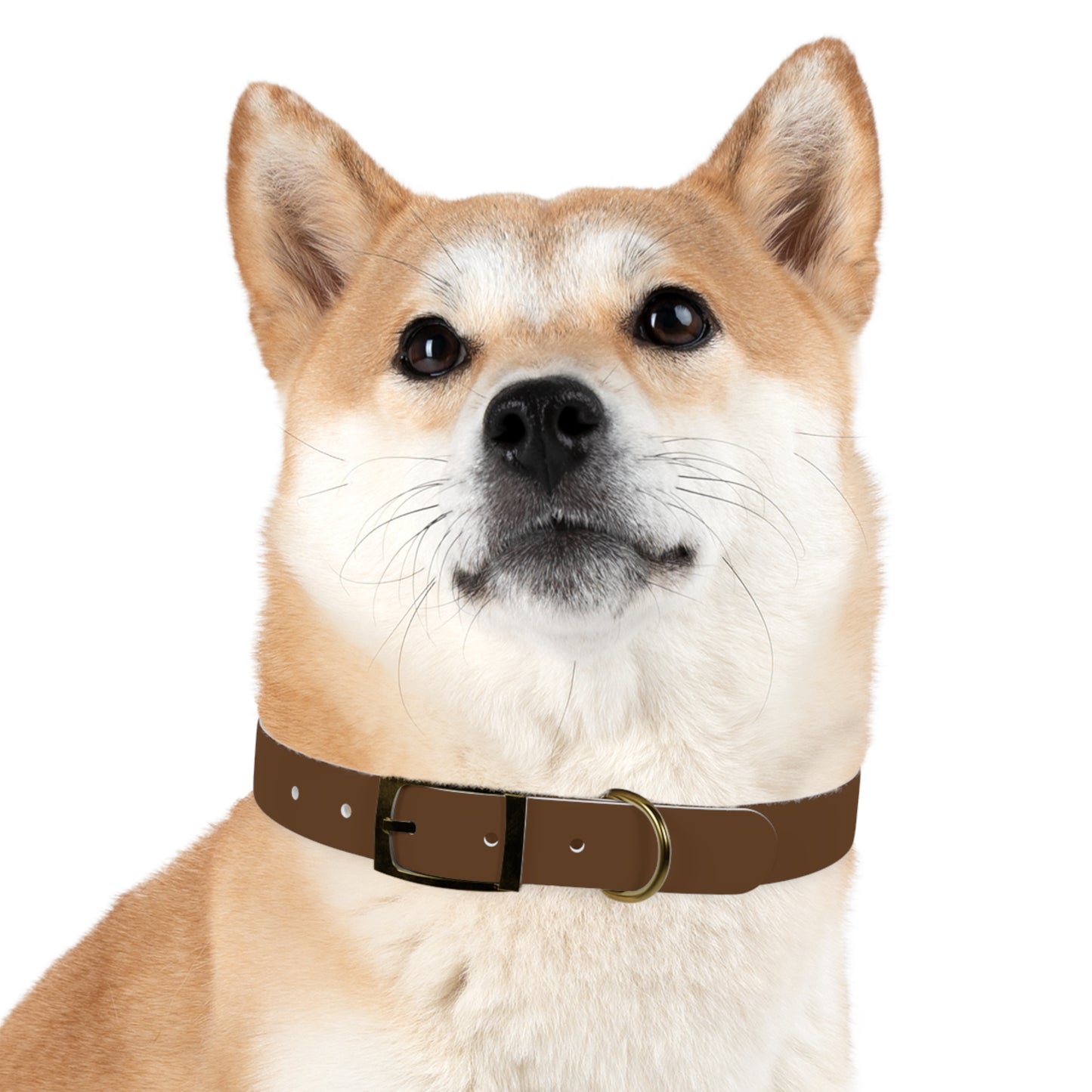 Brown Belt Doggo Collar