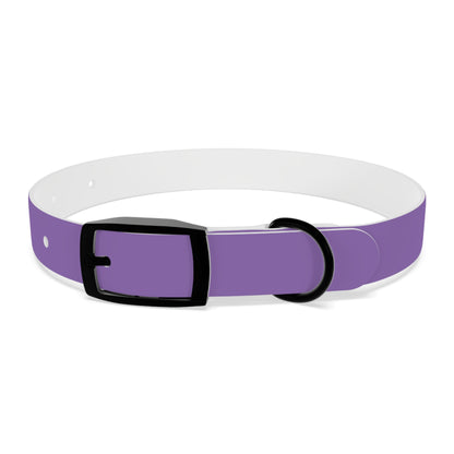 Purple Belt Doggo Collar