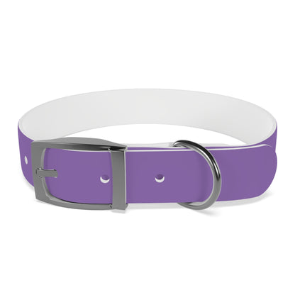 Purple Belt Doggo Collar