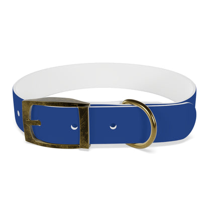 Blue Belt Doggo Collar