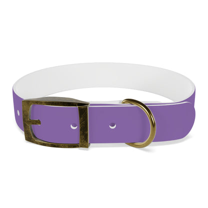 Purple Belt Doggo Collar