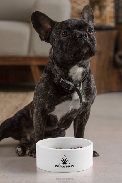 Doggo Dojo Pet Bowl