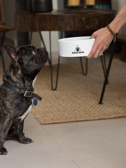 Doggo Dojo Pet Bowl